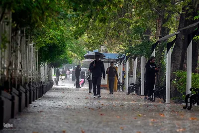 بارش باران پاییزی در شیراز