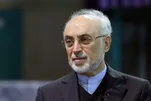 Martyred Leader Prioritized Independence, Good-Neighborly Policy: Former FM Salehi