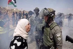 OCHA: Mehr als fünfzig palästinensische Gebäude von Israel innerhalb von zwei Wochen zerstört