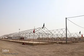 آماده‌سازی موکب‌های اربعین در مرز شلمچه
