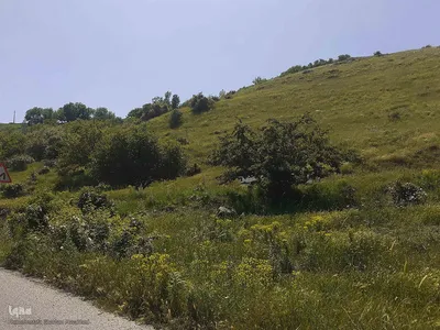 طبیعت بکر و زیبای منطقه گردشگری فندقلوی اهر