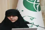 هم‌آهنگی نظامی، دیپلماسی، رسانه و مردم؛ عامل پیروزی ایران