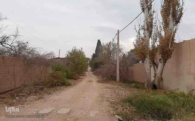 طبیعت پاییزی یزد در قاب تصویر