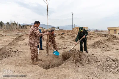 بزرگداشت هفته درختکاری در سپاه امام حسن مجتبی (ع) استان البرز‎‎