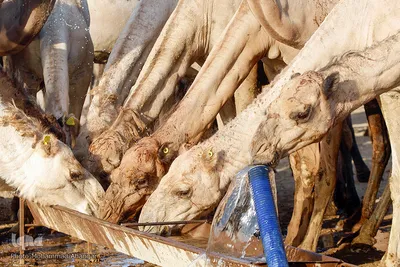 آبرسانی به روستاهای هویزه