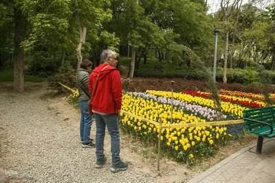 طبیعت بهاری تهران