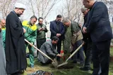 درختکاری استاندار همدان در روز طبیعت