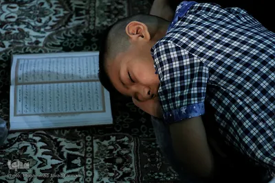 احیای شب نوزدهم ماه رمضان درجوار سید الکریم