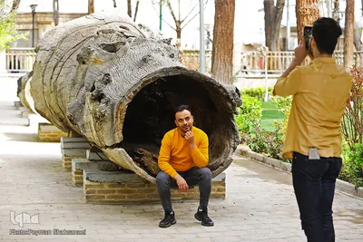 مسافران نوروزی کاخ چهل ستون