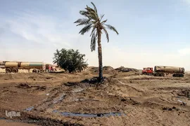 کمترین تحریری از یک زندگانی