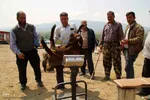 بازار گرمی گوشت قربانی در عید قربان – شهرستان اهر