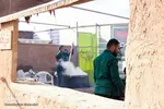 شهری به رنگ فاطمیه