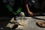 پخت «حلیم در جُم ( خمره) میراثی ۳۰۰ ساله در فین