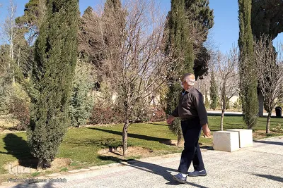 شکوفه‌های زودهنگام شهر راز