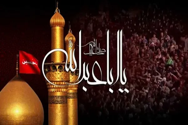 تنظيم مؤتمر 