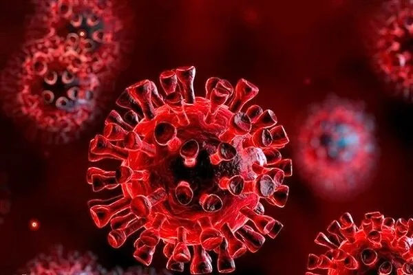 جلسه اضطراری ستاد کرونا ویروس دانشگاه علوم پزشکی قم برگزار شد