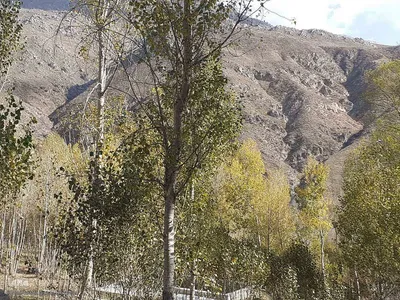 طبیعت بکر و پاییزی روستای انجرد شهرستان اهر