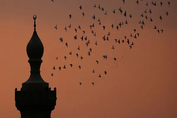 اوقاف مصر مسجد رأس الحسین قاهره را بست
