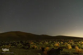 کوچ عشایر در فارس‎