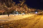 یک روز برفی در شهرستان اهر