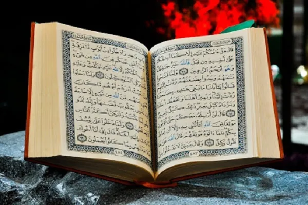 مركز 