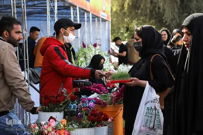 به یاد عزیزانی که هیچ‌گاه باز نمی‌گردند