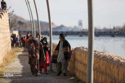 پرندگان مهاجر میزبان رودخانه خشک - شیراز
