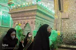گل آرایی و گل باران مضجع شریف حضرت شاهچراغ(ع)‎‎