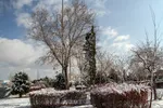 بارش اولین برف زمستانی رخت سفید بر تن ییلاقات استان یزد