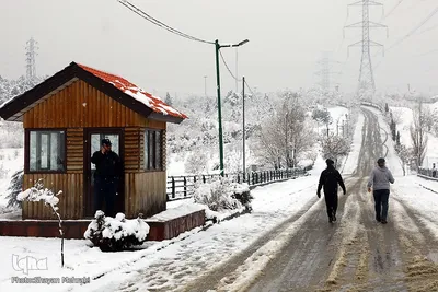تهران برفی