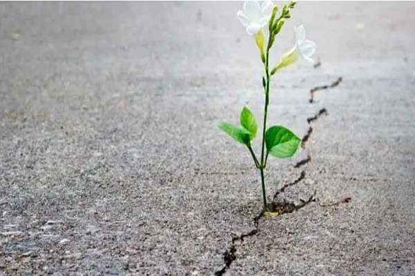 مَنْ بَلَغَ غايَةَ أَمَلِهِ فَلْيَتَوَقَّعْ حُلُولَ أَجَلِهِ