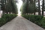 با قدم زدن در این باغ به عمق تاریخ سفر ‌کنید