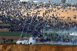 240 Palestinians Injured in Israeli Attacks in Gaza