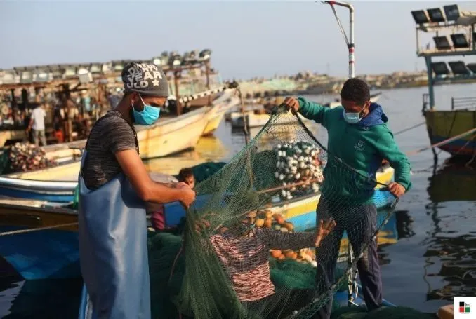 Israel Detains 4 Palestinian Fishermen Off Gaza Coast