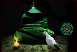 آسٹریا میں رحلت رسول و شہادت امام کی مجلس + تصاویر