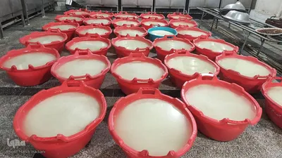 ضیافت کریمانه و مراسم شب قدر در هیأت ابوالفضلی بیرجند