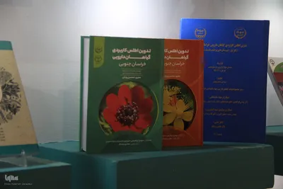 غرفه جهاددانشگاهی خراسان جنوبی، غرفه برتر نمایشگاه ایران و افغانستان شد