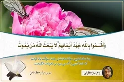 Film/ Lantunan Surah An-Nahl oleh Vahid Vakili
