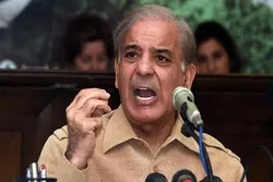 کشمیر پر حکومت کے پاس تقریر، تحریر اور ٹیلی فون کے علاوہ کچھ نہیں، شہباز شریف