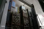 صادرات سیر؛ محصول پرخاصیت و معروف همدان