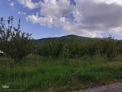 طبیعت بکر و زیبای منطقه گردشگری فندقلوی اهر