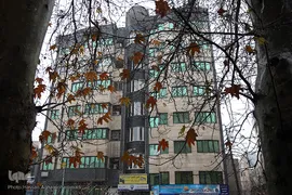 بارش برف زمستانی در تهران
