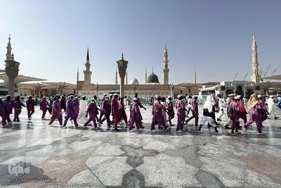 آخرین روز های حضور حاجیان در مسجد النبی قبل از احرام