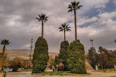 آخرین روز از پاییز 1400 در بوستان آزادی شیراز ‎‎‎‎