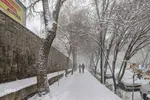 بارش سنگین برف در تبریز‎