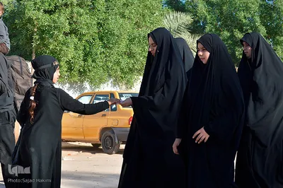 پیاده‎روی اربعین از طریق العلما