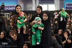 همایش شیرحوارگان در کرج