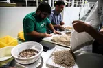 یا علی گفتیم و عشق آغاز شد