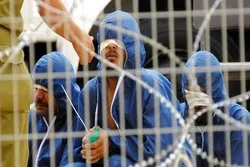 دفلسطیني اسیرانو هراړخیز لوږتړ پیلیدا