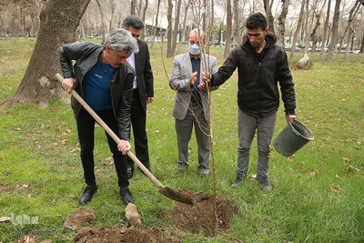 کاشت درخت توسط هنرمندان در فرهنگسرای نیاوران